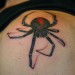 Tattoos - Black Widow - 20700